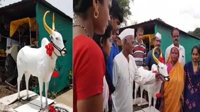 हाडाच्या शेतकऱ्याचं बैलावर जीवापाड प्रेम, बैलाच्या मृत्यूनंतर दशक्रियाविधी, बैलाचा पुतळाही उभारला!