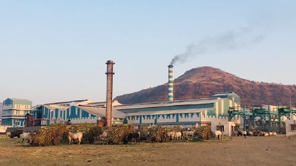 ईडीकडून जरंडेश्वर कारखाना सील, 22 हजार हेक्टरवरील ऊसाचं काय करायचं? शेतकऱ्यांचा मोर्चा
