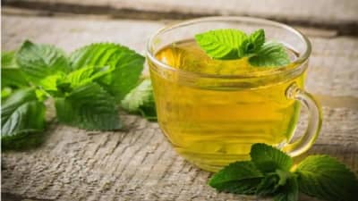 Weight Loss : वाढलेले वजन कमी करण्यासाठी पुदिना आणि तुळस अत्यंत फायदेशीर!