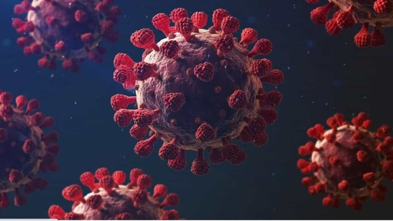 Maharashtra Coronavirus LIVE Update : राज्यात दिवसभरात 6 हजार 17 नवे कोरोनाबाधित