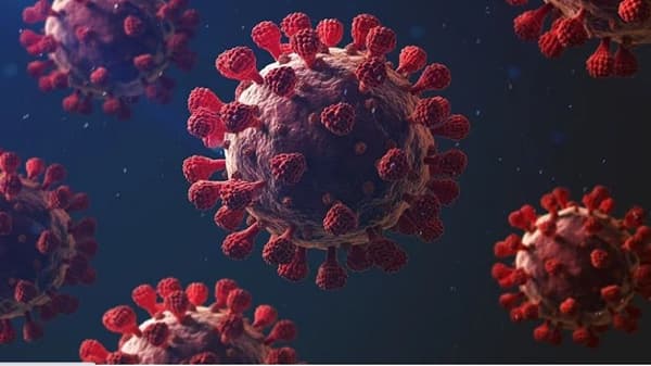 Maharashtra Coronavirus LIVE Update : नाशकात आज 80 नव्या कोरोनाबाधितांची नोंद, 4 मृत्यू