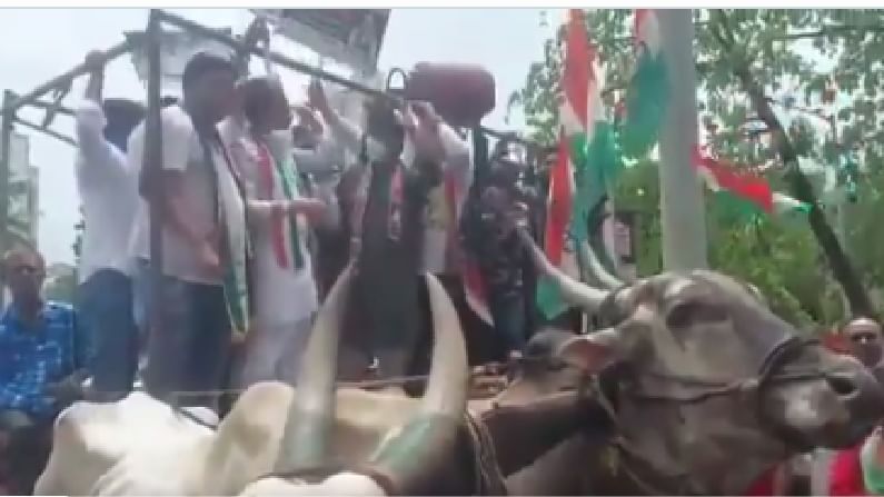 Video | हमारा नेता कैसा हो... म्हणताच बैलगाडी तुटली, काँग्रेस कार्यकर्त्यांसह भाई जगताप कोसळले, व्हिडीओ व्हायरल Video | हमारा नेता कैसा हो... म्हणताच बैलगाडी तुटली, काँग्रेस कार्यकर्त्यांसह भाई जगताप कोसळले, व्हिडीओ व्हायरल