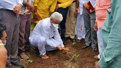 विमा कंपन्यांच्या चुकीच्या धोरणामुळे शेतकऱ्यांना कमी परतावा, केंद्राकडे शिफारस : दादाजी भुसे