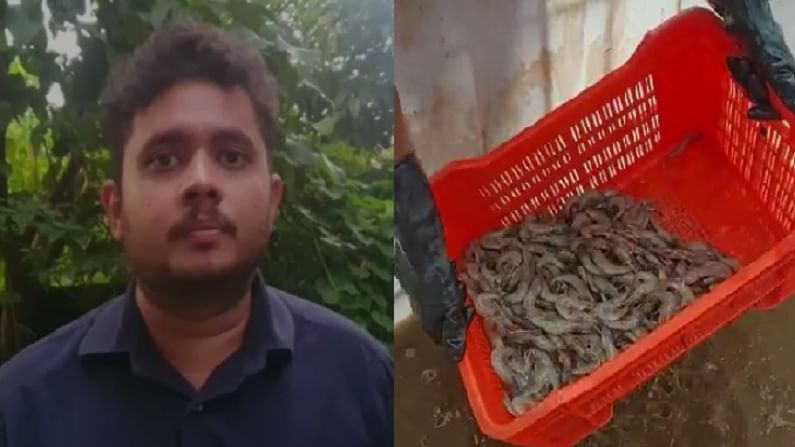 कोकणातील तरुणाची कमाल; पडीक खार जमिनीवर उभारला कोळंबी शेतीचा भव्य प्रकल्प कोकणातील तरुणाची कमाल; पडीक खार जमिनीवर उभारला कोळंबी शेतीचा भव्य प्रकल्प