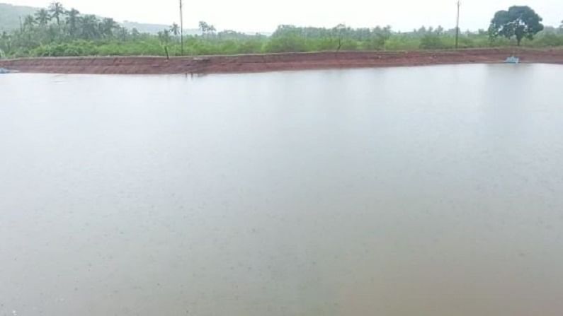 Konkan prawn farming project 1