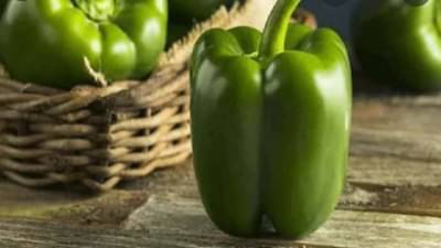 Weight Loss : स्लिम-ट्रिम दिसण्याची इच्छाय? मग, आहारात शिमला मिरचीचा समावेश करा!