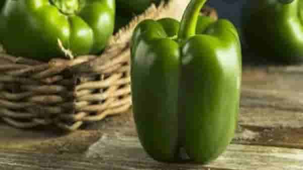 Weight Loss : स्लिम-ट्रिम दिसण्याची इच्छाय? मग, आहारात शिमला मिरचीचा समावेश करा!