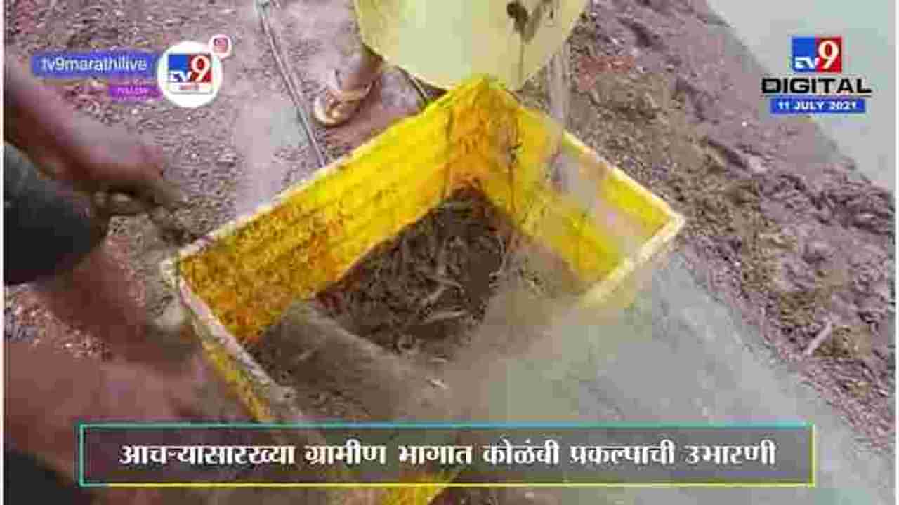 Sindhudurg | ऑटोमोबाईल इंजिनिअरिंग झालेल्या तरुणाने खेडेगावात उभारला यशस्वी कोळंबी प्रकल्प