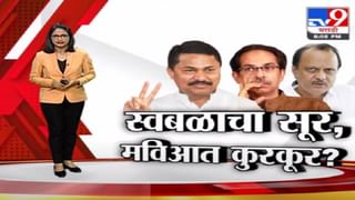 Special Report | राणे सेनेसोबत जुळवून घेणार की शिंगावर घेणार?