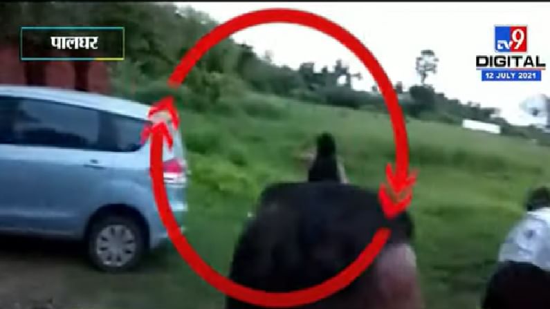 VIDEO | पालघरमध्ये मद्यपी पर्यटकांचा पोलिसांवर हल्ला, बीचवर पोलिसांच्या अंगावर गाडी घालण्याचा प्रयत्न