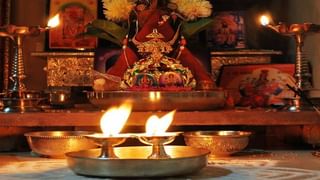 Fengshui Tips | घरात भरभराट आणतात ही 5 झाडं, गुडलक ट्री म्हणून आहेत प्रसिद्ध