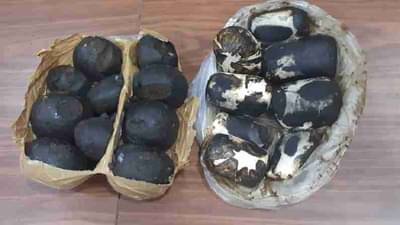 मुंबईत नोर्कोटिक्सकडून एक कोटींचे काश्मिरी चरस जप्त, एका महिला ड्रग्स पेडलरला अटक