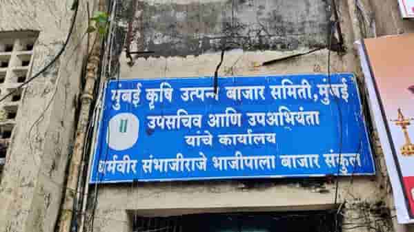 मुंबई एपीएमसीत 4 वर्षातील विक्रमी भाजीपाल्याची आवक, दरामध्ये मोठी घसरण