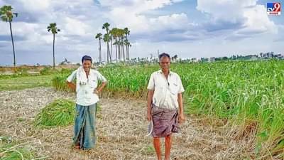 स्वामित्व योजनेसंदर्भात सरकार अॅक्शन मोडमध्ये, फायदा कोणाला अन् कसा होणार?