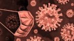 Corona Cases In India | देशात नव्या कोरोनाग्रस्तांचा आकडा वाढला, सक्रिय रुग्णही अधिक, कोरोनाबळींत मात्र घट