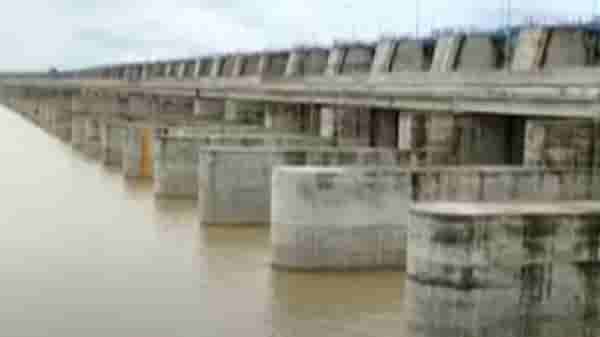 Gadchiroli Rain | गडचिरोली जिल्ह्यात जोरदार पाऊस, मेडीगट्टा लक्ष्मी धरणाचे 24 दरवाजे उघडले