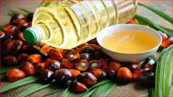 Edible Oil latest price: आयात शुल्कात घट होऊनही पामतेल महागच, जूनमध्ये आयातीत 24 टक्क्यांची घसरण