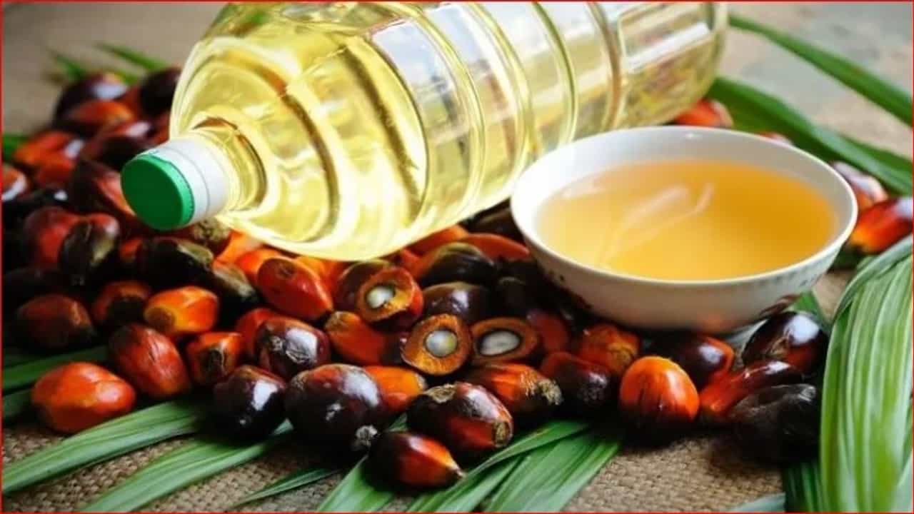 Edible Oil latest price: आयात शुल्कात घट होऊनही पामतेल महागच, जूनमध्ये आयातीत 24 टक्क्यांची घसरण
