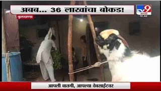 Video | ऑगस्ट महिन्यामध्ये साडेचार कोटी लसी मिळण्याची शक्यता : राजेश टोपे