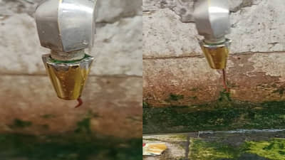 अकोला मध्यवर्ती बसस्थानकात रोगराईची भीती, प्रवाशांना कीटक व शिदोडयुक्त दूषित पाणी!