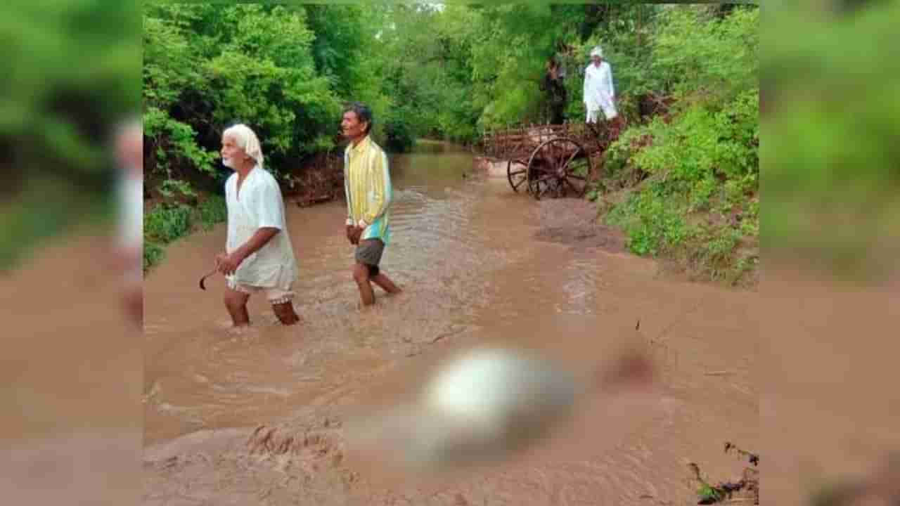 जळगावमध्ये तुफान पावसानं शेतकरी दाम्पत्य बैलगाडीसह पुरात वाहून गेलं, बैलांचा मृत्यू, शेतकरी बेपत्ता