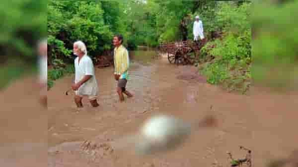जळगावमध्ये तुफान पावसानं शेतकरी दाम्पत्य बैलगाडीसह पुरात वाहून गेलं, बैलांचा मृत्यू, शेतकरी बेपत्ता