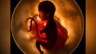 Twins : जुळी मुलं कशी जन्माला येतात?, जाणून घ्या काय आहे गर्भाशयात मुलगा किंवा मुलगी होण्याचे पूर्ण विज्ञान