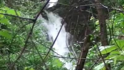 कोकणात कोसळलेल्या पावसाने आल्हाददायक वातावरण, गारवेली धबधबा ओसांडून वाहू लागला