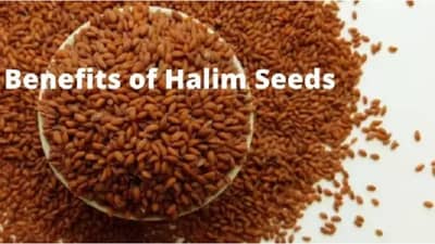 बायांनो, आळीव खा, लठ्ठपणापासून ते अनियमित मासिक पाळीच्या समस्येपासून मुक्त व्हा!