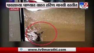 Mumbai Rain | मुंबईतील 3 दुर्घटनांमध्ये 26 जणांचा मृत्यू, विक्रोळीत 7 तर भांडूपमध्ये एकाचा मृत्यू