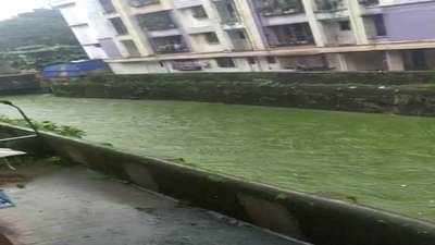 VIDEO : पावसाचं पाणी अतिशय शुद्ध, मग हा नाला हिरवागार कसा? डोंबिवलीतील धक्कादायक प्रकार