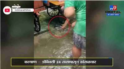 Dombivli | मुसळधार पावसामुळे डोंबिली पश्चिमेत पावसाच्या साचलेल्या पाण्यात सापडले मासे