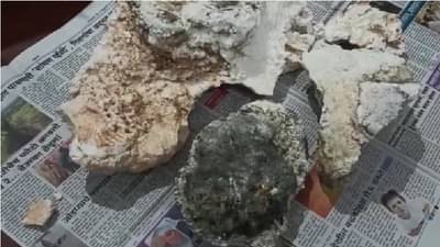 देवगडचा प्रामाणिक मच्छिमार, व्हेल माशाची 5 कोटींची उलटी वन विभागाला सुपूर्द