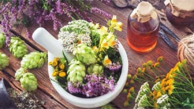 Hair Care Tips : केस गळती कमी करण्यासाठी या 9 औषधी वनस्पतींचा वापर करा!