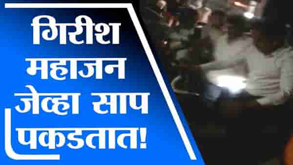 VIDEO | …जेव्हा गिरीश महाजन साप पकडतात