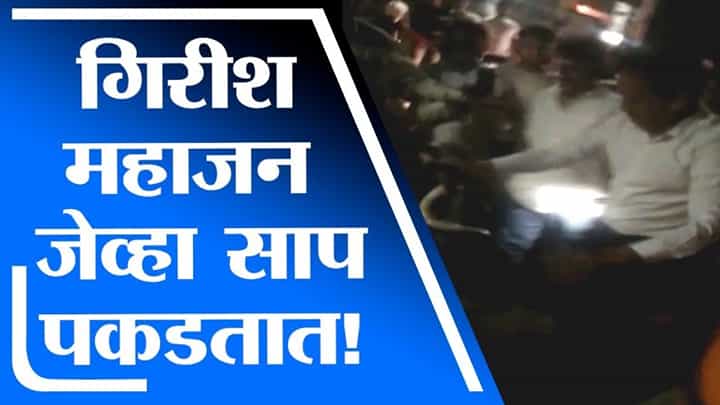 VIDEO | ...जेव्हा गिरीश महाजन साप पकडतात VIDEO | ...जेव्हा गिरीश महाजन साप पकडतात