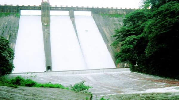 मोरबे धरण क्षेत्रात दमदार पाऊस, धरणातील पाणीसाठा 62% टक्के, नवी मुंबईकरांची पाण्याची चिंता मिटतीय!