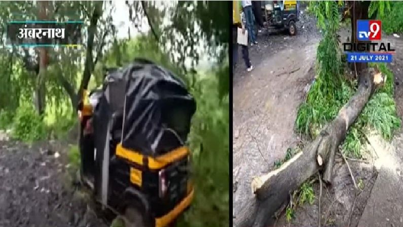 VIDEO | अंबरनाथमध्ये दोन प्रवाशांसह निघालेल्या रिक्षावर झाड कोसळलं