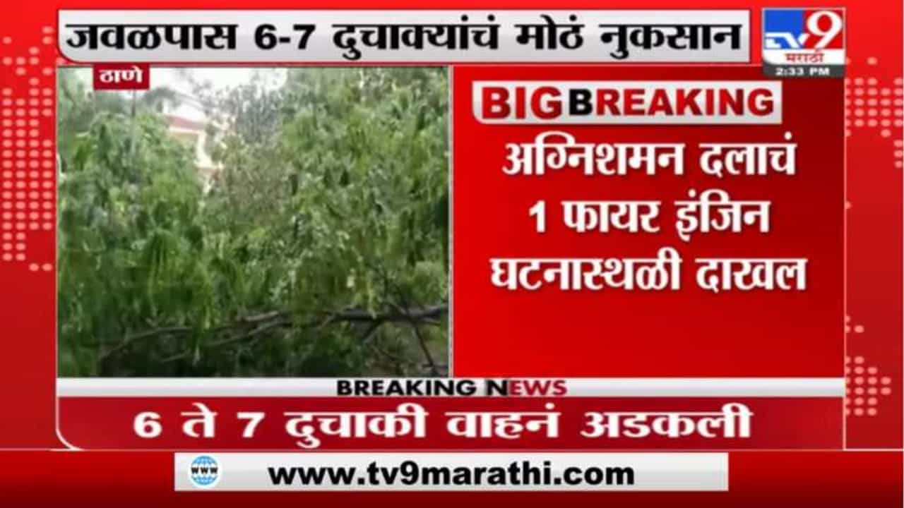 Thane Rain | ठाणे महानगरपालिकेच्या मुख्यालयात झाडे उन्मळून पडल्याने 6-7 दुचाक्यांचं नुकसान