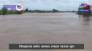 शहापूरमध्ये 35 गावांच्या विजेसाठी वायरमनची जीवाची बाजी, तलावात पोहून हायटेन्शनच्या तारेची जोडणी