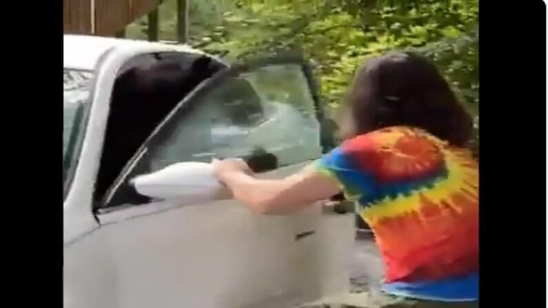 Video | कसलीही चिंता न करता कारमध्ये ठाण मांडले, डेअरिंगबाज अस्वलाचा व्हिडीओ सोशल मीडियावर व्हायरल