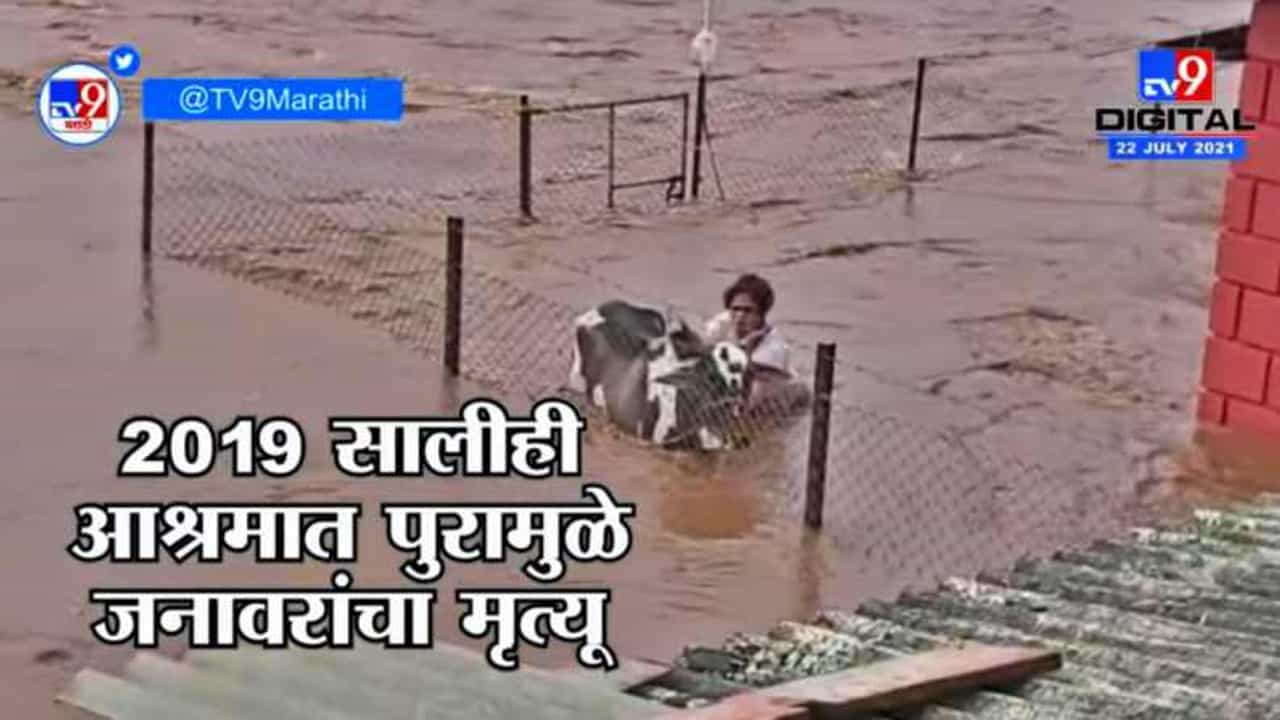उल्हास नदीच्या पुरात 70 जनावरं अडकली, गाई घरात, कुत्री बेडवर; पुराचं तांडव!