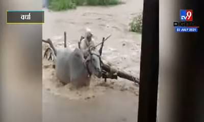 हृदयद्रावक ! पुराच्या पाण्यातून बैलगाडी नेण्याचा प्रयत्न, बैलाचा मृत्यू, शेतकरी बेपत्ता, पाहा व्हिडीओ