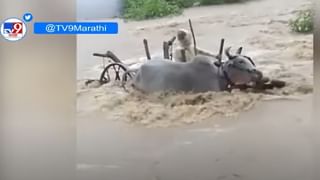 Maharashtra Rains : राधानगरीचे दरवाजे उघडणार, कोल्हापूरला पुन्हा पुराचा फटका बसणार?; नेव्ही, आर्मी सज्ज