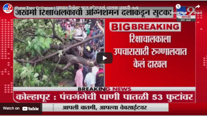 Pune Tree Collapse | पुण्यात रिक्षेवर झाड कोसळलं, चालक जखमी