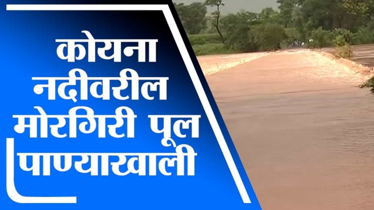 Satara Rain | साताऱ्यासह पाटण तालुक्यात पाऊस, कोयना नदीवरील मोरगिरी पूल पाण्याखाली