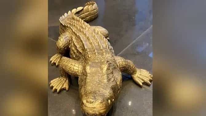 इमारतीत मगर पाहून घाबरली महिला, पोलिस आल्यानंतर सत्य आलं समोर, काय आहे नेमकं प्रकरण?
