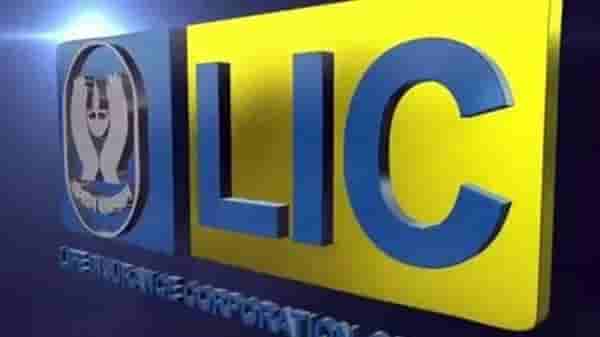 LIC पॉलिसीचं स्टेटस, तपशील आणि स्टेटमेंट असे करा ऑनलाईन चेक, SMS द्वारेही मिळेल माहिती