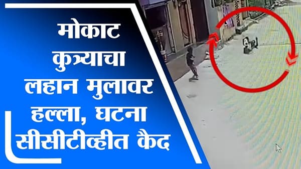VIDEO | औरंगाबादेत मोकाट कुत्र्यांचा धुमाकूळ, लहान मुलाच्या पायाचा लचका तोडला