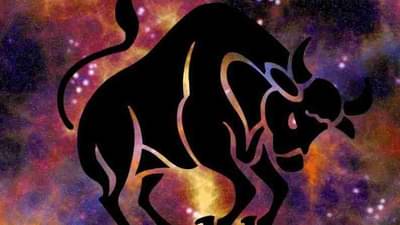 वृषभ राशीच्या व्यक्तींना जोडीदाराकडून ‘या’ स्वभावगुणांची असते अपेक्षा; जाणून घ्या त्यांच्या अपेक्षा